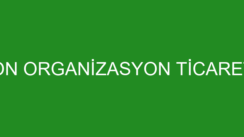 ELİTE ANİMASYON ORGANİZASYON TİCARET LİMİTED ŞİRKE