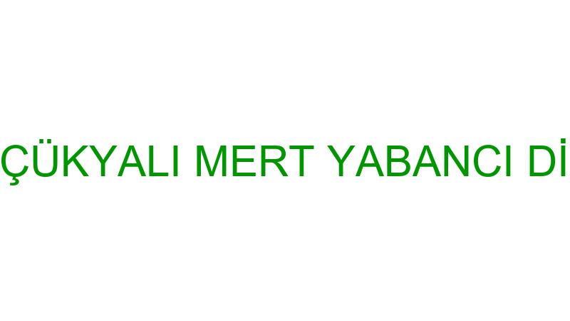 ÖZEL KÜÇÜKYALI MERT YABANCI DİL KURSU