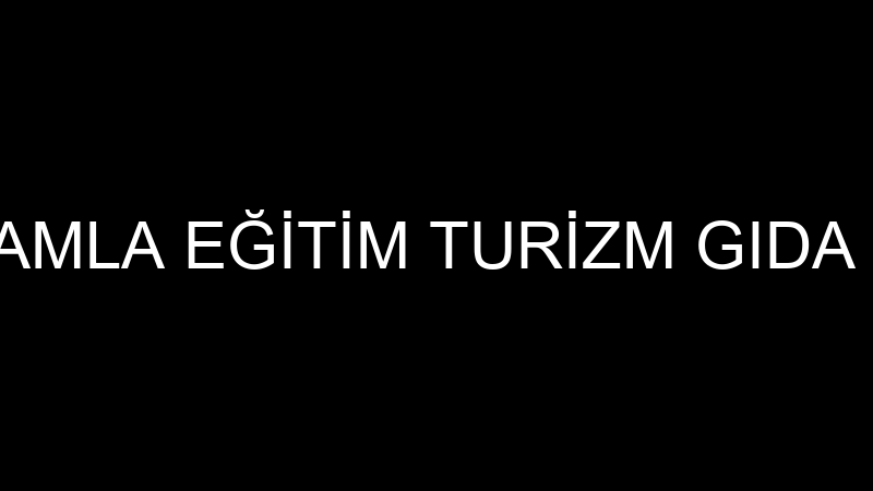 DAMLA TAV - DAMLA EĞİTİM TURİZM GIDA NAKLİYAT İNŞA