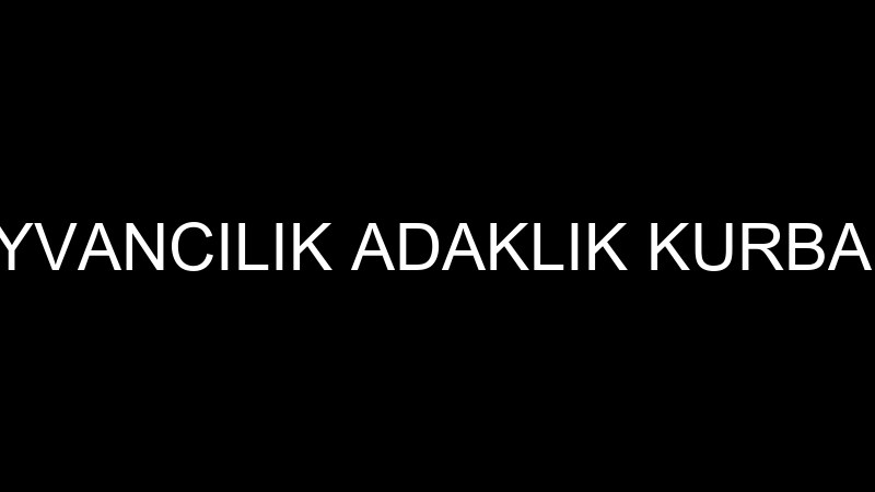 BEREKET HAYVANCILIK ADAKLIK KURBAN SATIŞ YERİ
