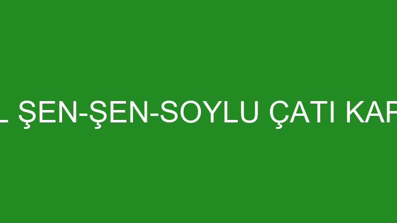 İSMAİL ŞEN-ŞEN-SOYLU ÇATI KAPLAMA