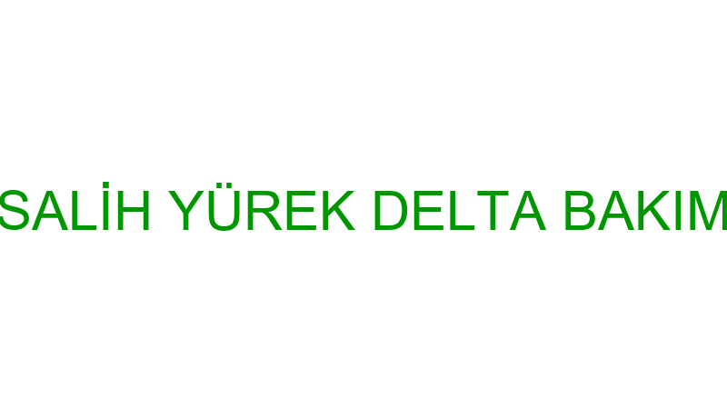 SALİH YÜREK DELTA BAKIM