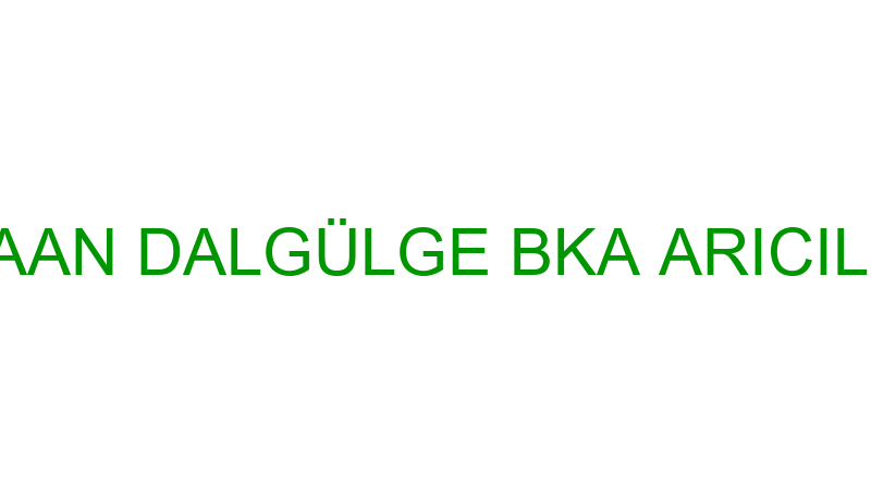 KAAN DALGÜLGE BKA ARICILIK