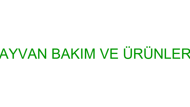 GÜNEŞ EVCİL HAYVAN BAKIM VE ÜRÜNLERİ TİCARET LİMİT
