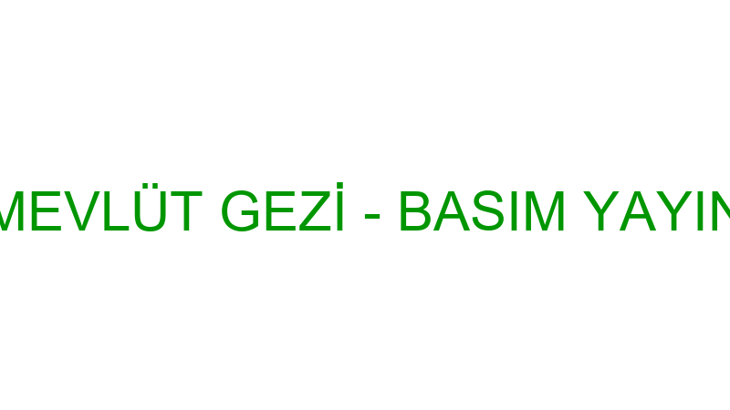 MEVLÜT GEZİ - BASIM YAYIN