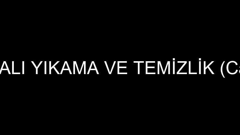 BİRİNCİ HALI YIKAMA VE TEMİZLİK (Can Ertekin)