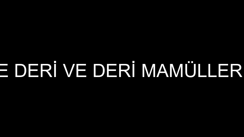 EMEK SARACİYE DERİ VE DERİ MAMÜLLERİ SANAYİ VE TİC