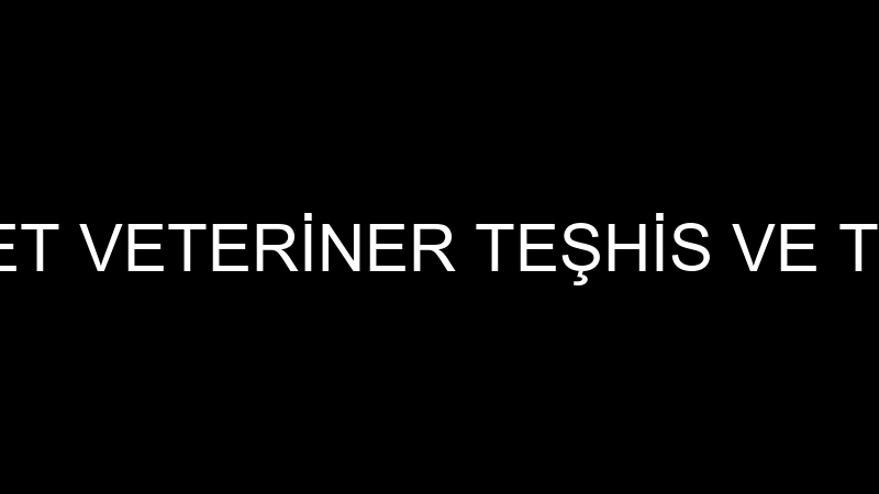 AKADEMİ VETPET VETERİNER TEŞHİS VE TEDAVİ MERKEZİ