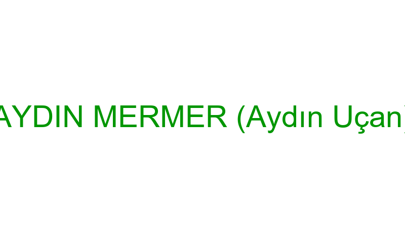 AYDIN MERMER (Aydın Uçan)