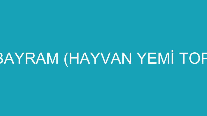RECEP GÜZELBAYRAM (HAYVAN YEMİ TOPTAN TİCARETİ)