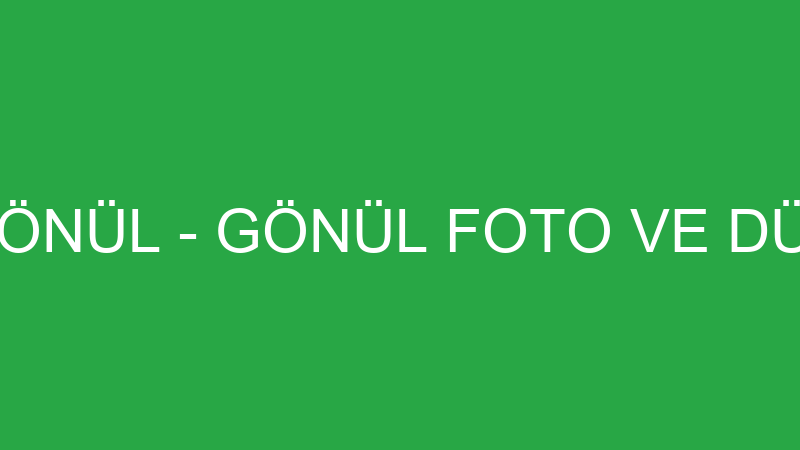 MEHMET AKGÖNÜL - GÖNÜL FOTO VE DÜĞÜN SALONU