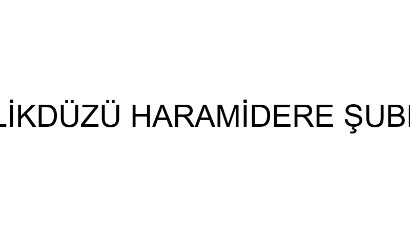 OTORAPOR BEYLİKDÜZÜ HARAMİDERE ŞUBESİ - ORCA ARAÇ