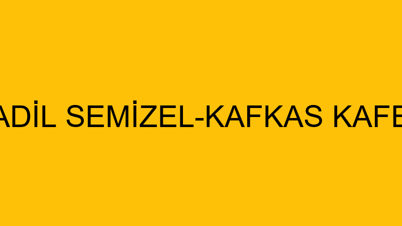 ADİL SEMİZEL-KAFKAS KAFE
