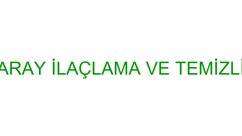 SARAY İLAÇLAMA VE TEMİZLİK