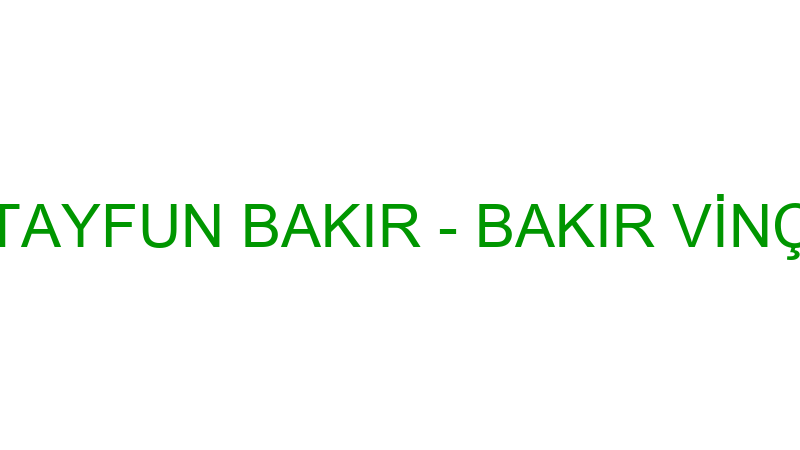 TAYFUN BAKIR - BAKIR VİNÇ