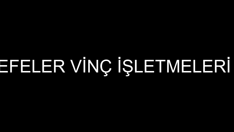EFELER VİNÇ - EFELER VİNÇ İŞLETMELERİ VE OTO KURTA