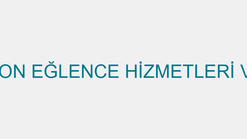 VİZYON ANİMASYON EĞLENCE HİZMETLERİ VE ORGANİZASYO
