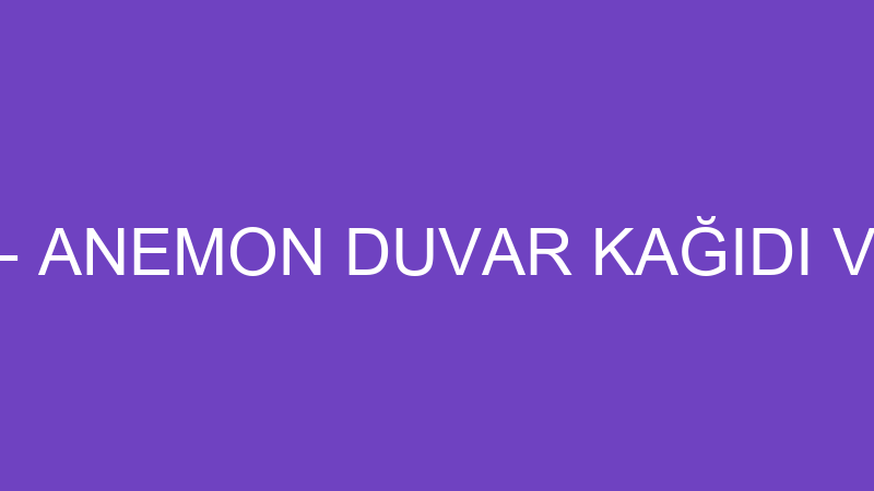 GÜLAY ÖZKAYA - ANEMON DUVAR KAĞIDI VE DEKORASYON