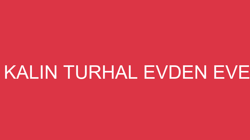 NURETTİN KALIN TURHAL EVDEN EVE NAKLİYAT