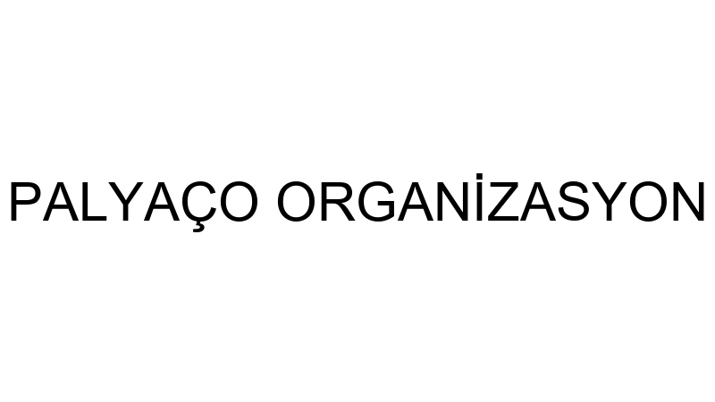 PALYAÇO ORGANİZASYON