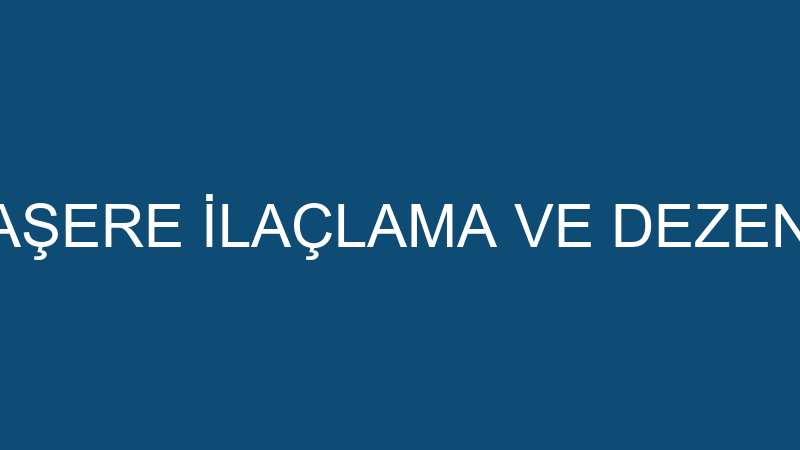 GLOBAL HAŞERE İLAÇLAMA VE DEZENFEKSİYON