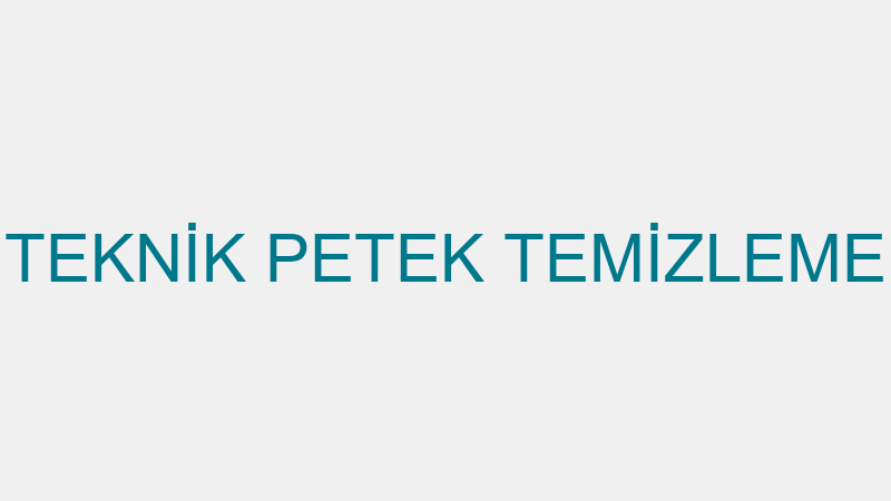 TEKNİK PETEK TEMİZLEME