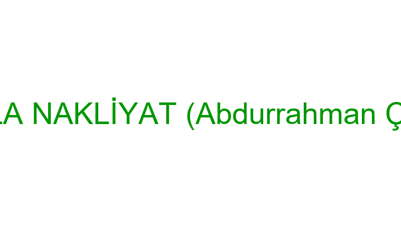 DAMLA NAKLİYAT (Abdurrahman Çubuk)