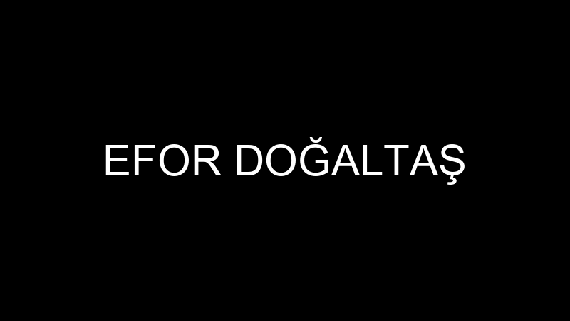 EFOR DOĞALTAŞ