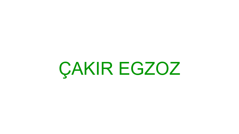ÇAKIR EGZOZ