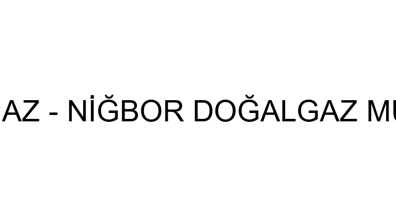 NİĞBOR DOĞALGAZ - NİĞBOR DOĞALGAZ MÜHENDİSLİK İNŞA