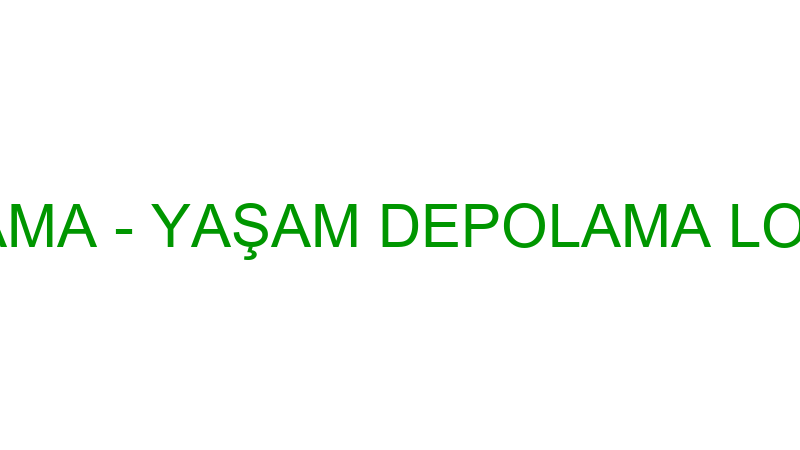 YAŞAM DEPOLAMA - YAŞAM DEPOLAMA LOJİSTİK A.Ş. (Ebu