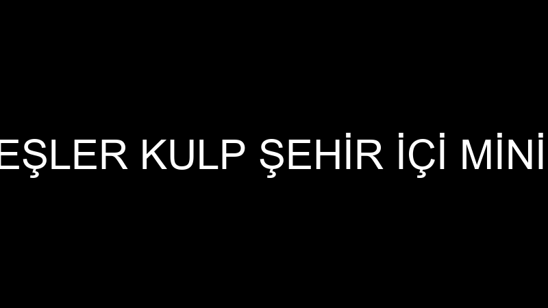 136 NOLU KARDEŞLER KULP ŞEHİR İÇİ MİNİBÜSÇÜLER MOT