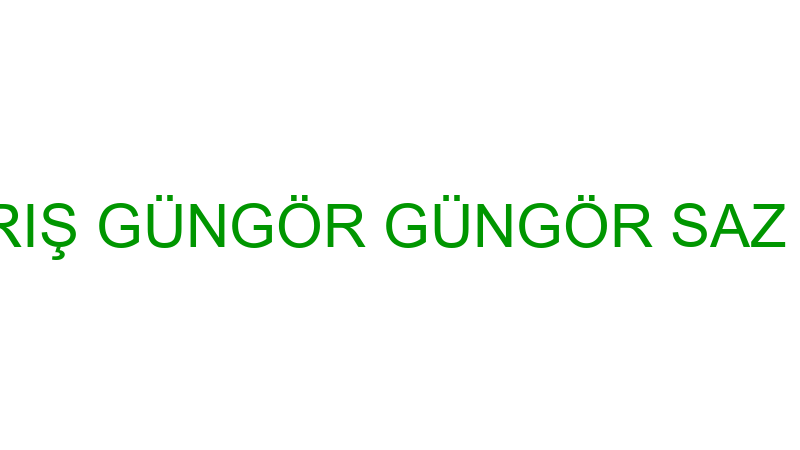 BARIŞ GÜNGÖR GÜNGÖR SAZ EVİ