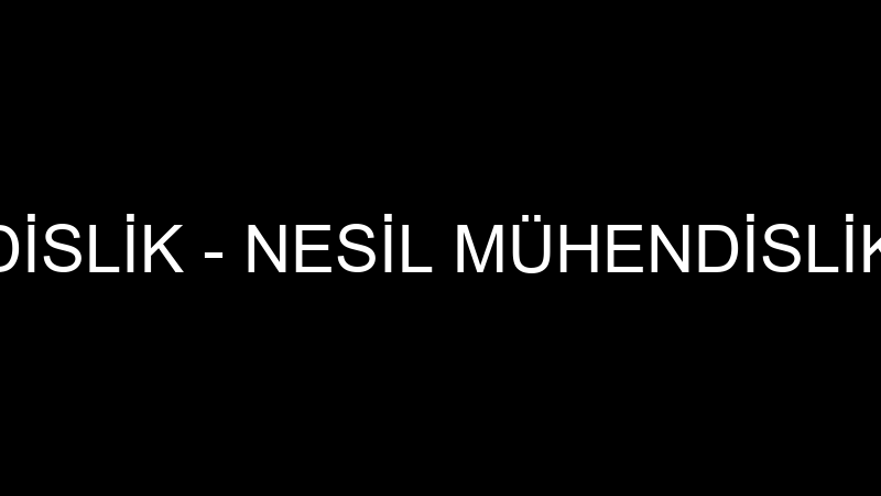 NESİL MÜHENDİSLİK - NESİL MÜHENDİSLİK İNŞAAT ISITM