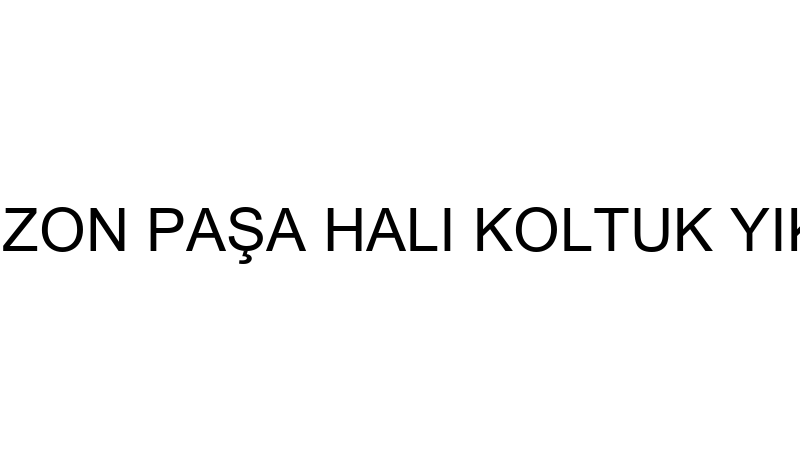 TRABZON PAŞA HALI KOLTUK YIKAMA