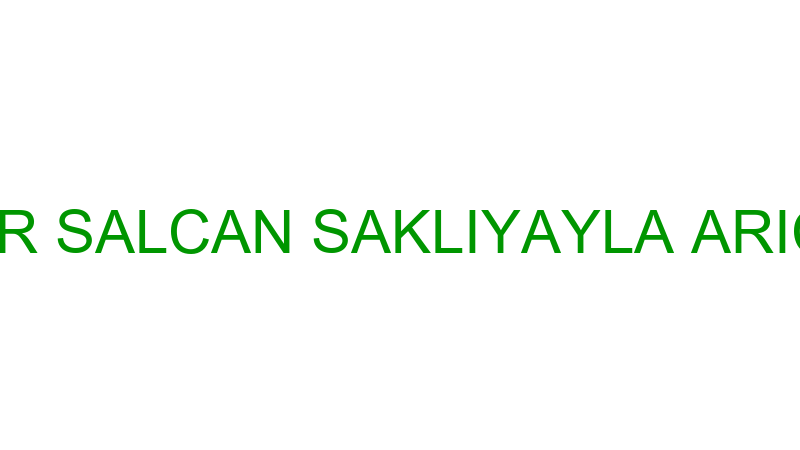 ÖMER SALCAN SAKLIYAYLA ARICILIK