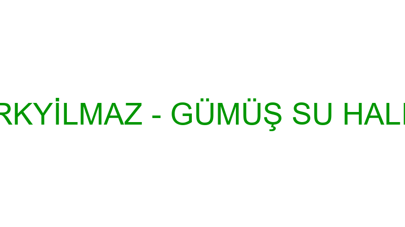 AKIN TÜRKYİLMAZ - GÜMÜŞ SU HALI YIKAMA