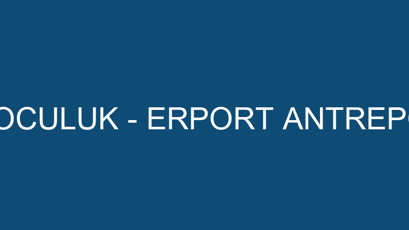 ERPORT ANTREPOCULUK - ERPORT ANTREPOCULUK VE LOJİS
