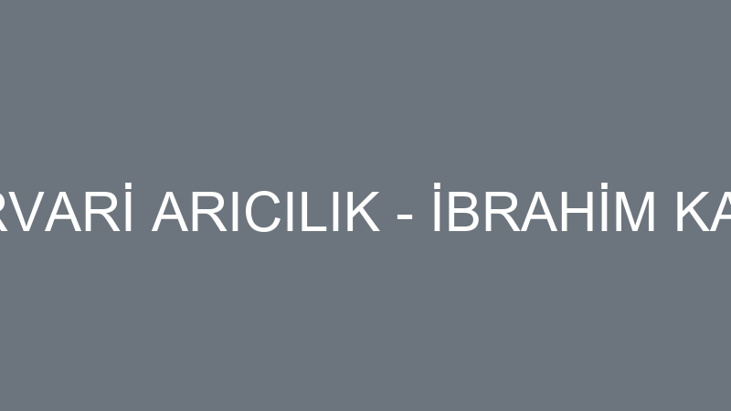 PERVARİ ARICILIK - İBRAHİM KAYSİ