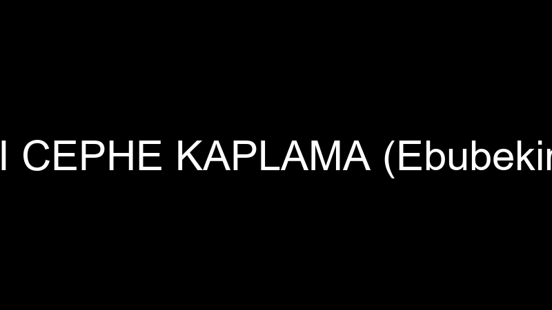 İLYAPI CEPHE KAPLAMA (Ebubekir İlgaz)