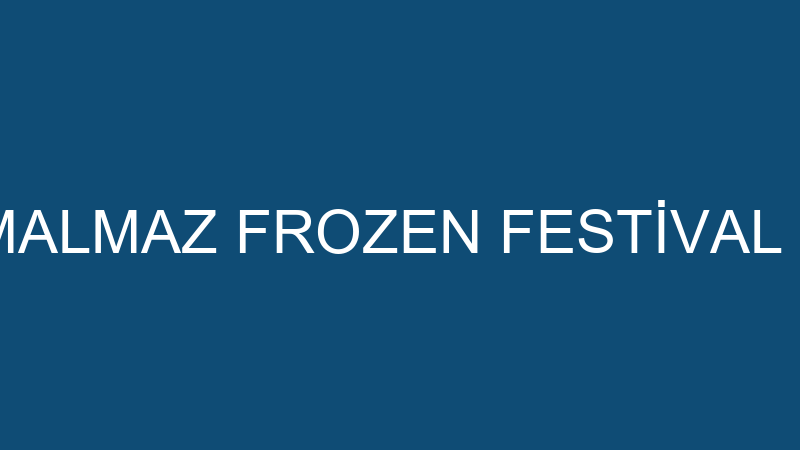 RECEP CAN GEMALMAZ FROZEN FESTİVAL ORGANİZASYON
