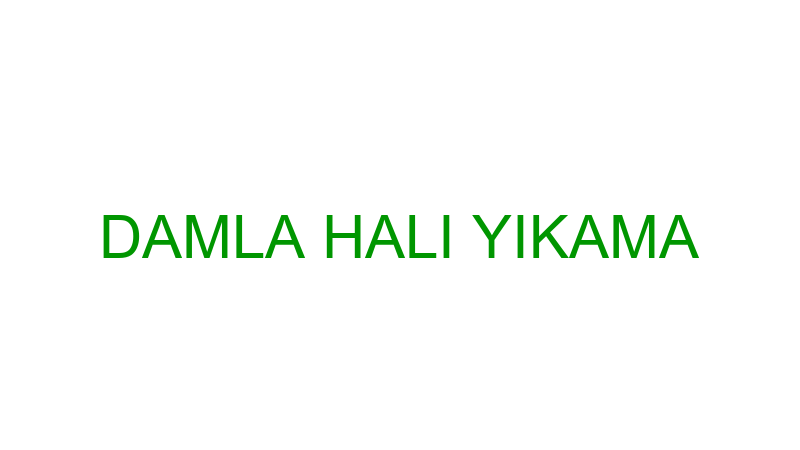 DAMLA HALI YIKAMA