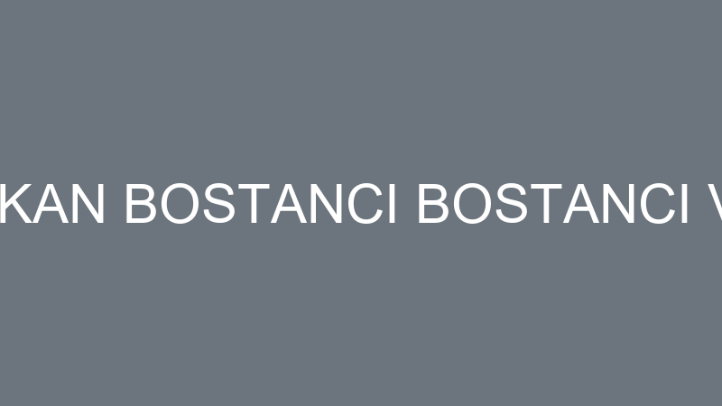 SERKAN BOSTANCI BOSTANCI VİNÇ