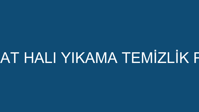 BERFİN CANPOLAT HALI YIKAMA TEMİZLİK PERSONEL TEDA