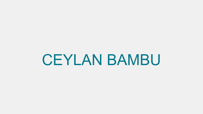 CEYLAN BAMBU