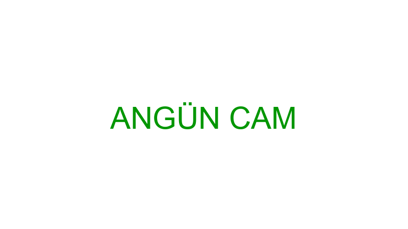 ANGÜN CAM