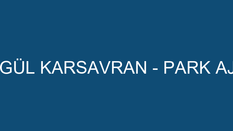 SONGÜL KARSAVRAN - PARK AJANS