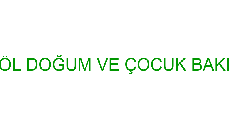 BİNGÖL DOĞUM VE ÇOCUK BAKIMEVİ