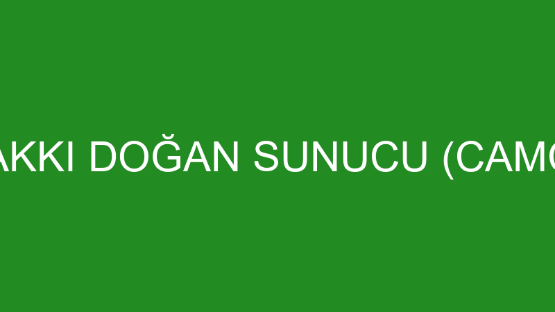 HAKKI DOĞAN SUNUCU (CAMCI)
