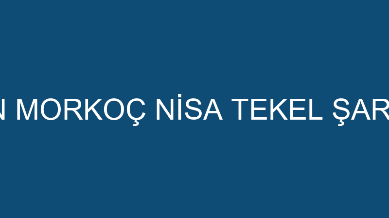 TAYFUN MORKOÇ NİSA TEKEL ŞARKÜTERİ